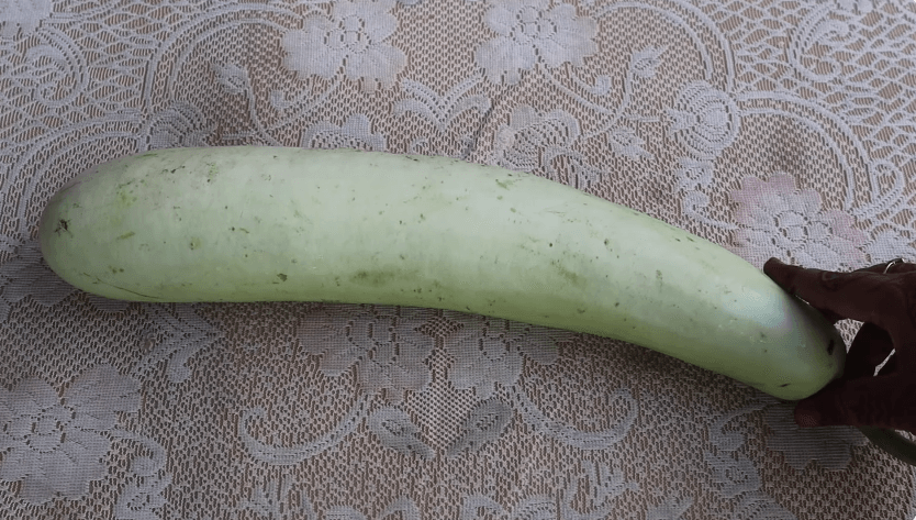 bottle gourd