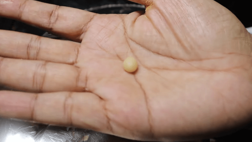 small ball of kaju katli